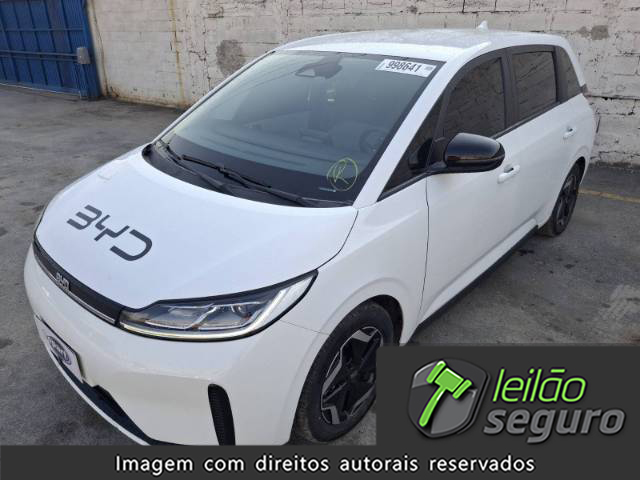 LOTE 029 BYD D1 EV GS 100 KW 2023